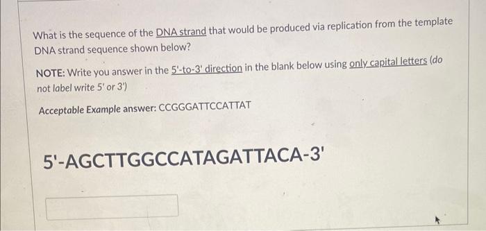 Solved What is the sequence of the DNA strand that would be | Chegg.com