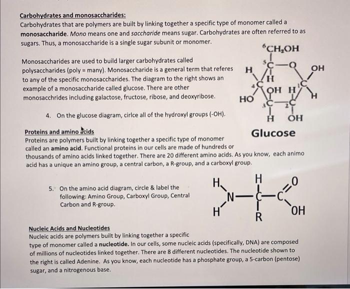 Solved H OH Кон н Carbohydrates and monosaccharides: | Chegg.com