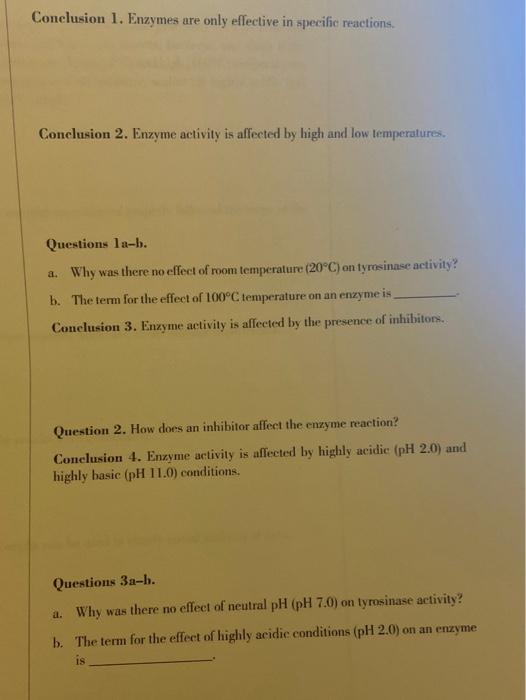 enzymes experiment conclusion