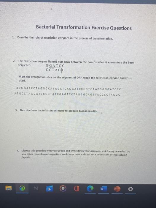 Solved OVERVIEW of BACTERIA TRANSFORMATION Instructions | Chegg.com