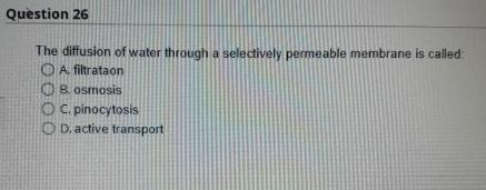 Solved Question 26The diffusion of water through a | Chegg.com