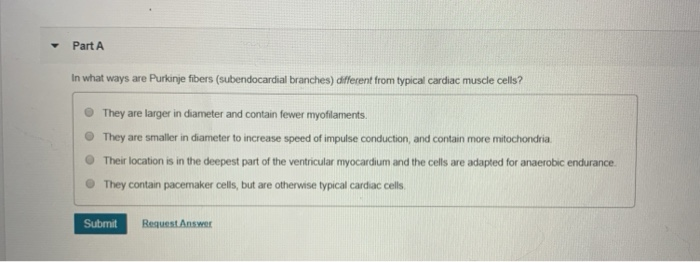 Solved Part A In what ways are Purkinje fibers | Chegg.com