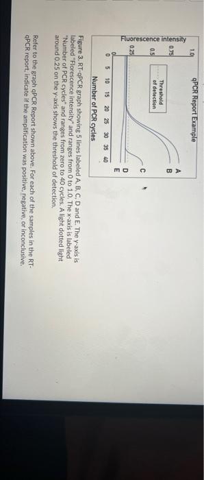 Solved 10 QPCR Report Example 0.75 А B Fluorescence | Chegg.com