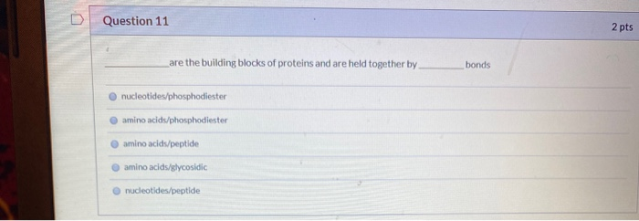 Solved Question 11 2 pts are the building blocks of proteins | Chegg.com