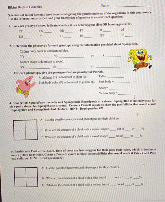 Solved Bikini Bottom Genetics Name Scientists at Bikini | Chegg.com