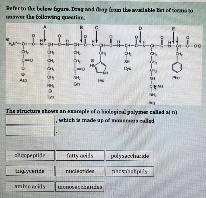 Solved Refer to the below figure. Drag and drop from the | Chegg.com