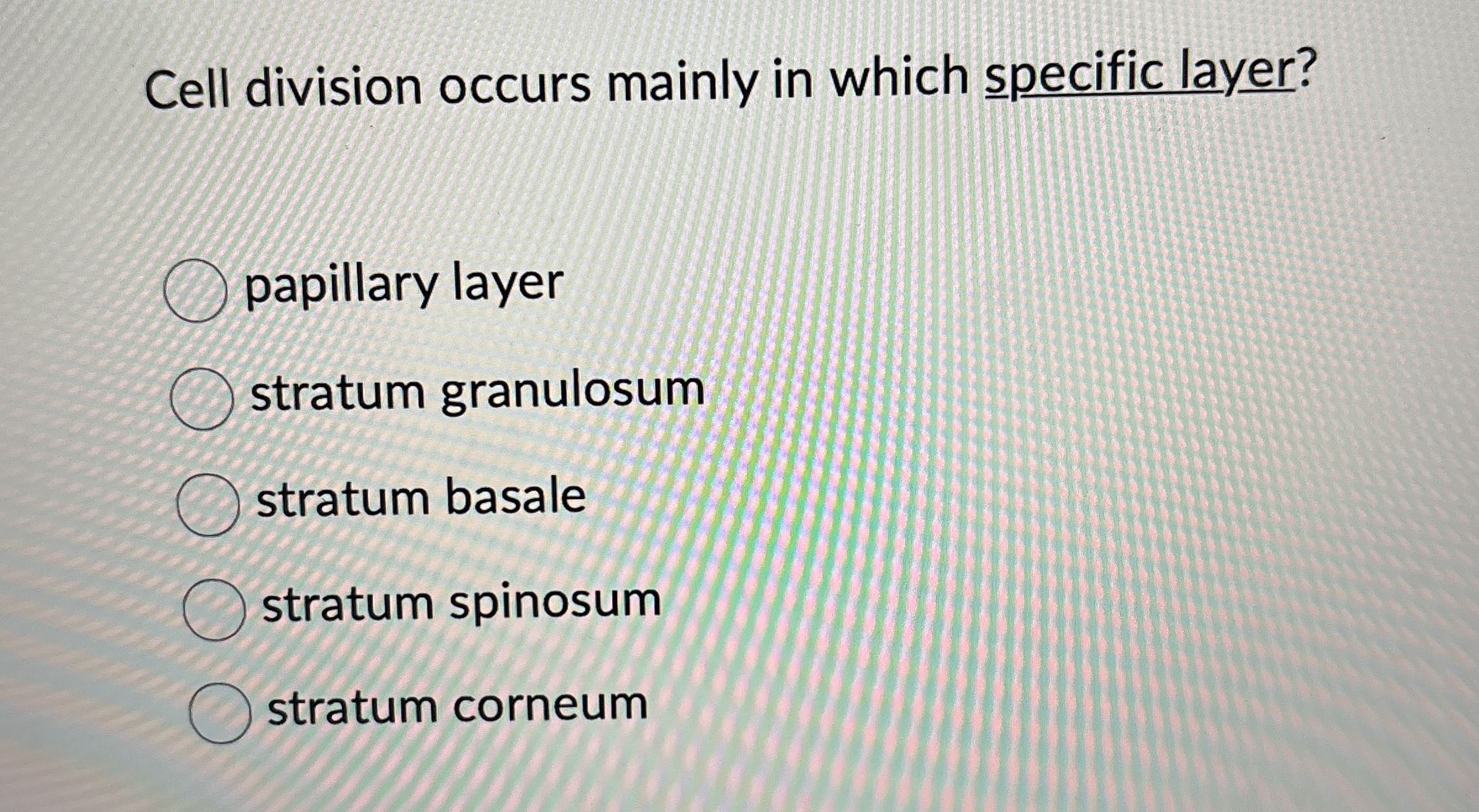 Solved Cell division occurs mainly in which specific | Chegg.com