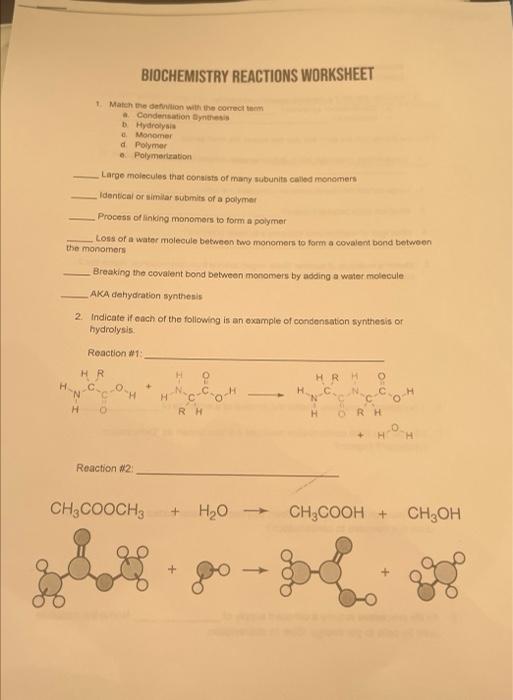 Solved Biochemistry Reactions Worksheet Maten The Defrution