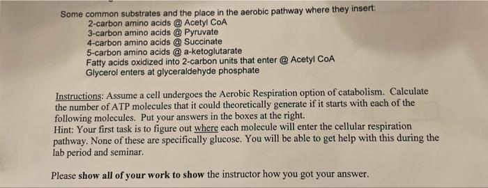 Solved Some common substrates and the place in the aerobic | Chegg.com