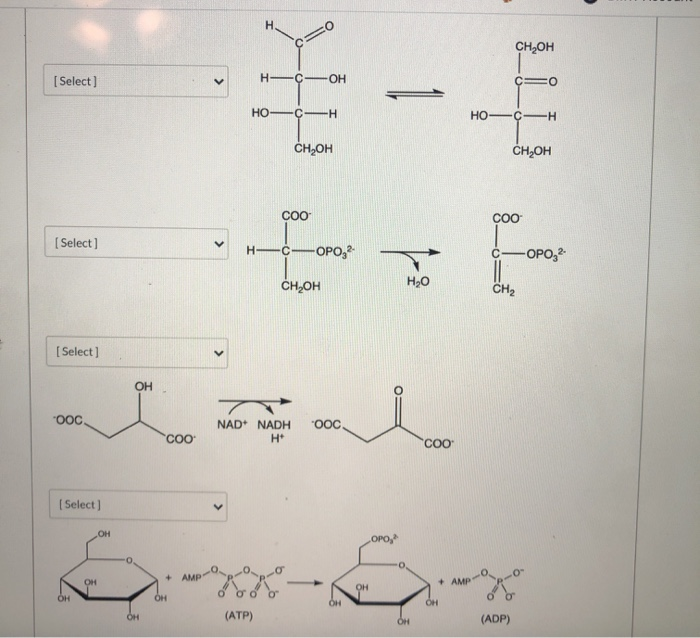 Solved For each of the following reactions, determine the | Chegg.com