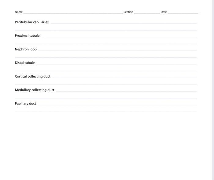 Solved Name Section Date PRE-LAB EXERCISES Complete the | Chegg.com