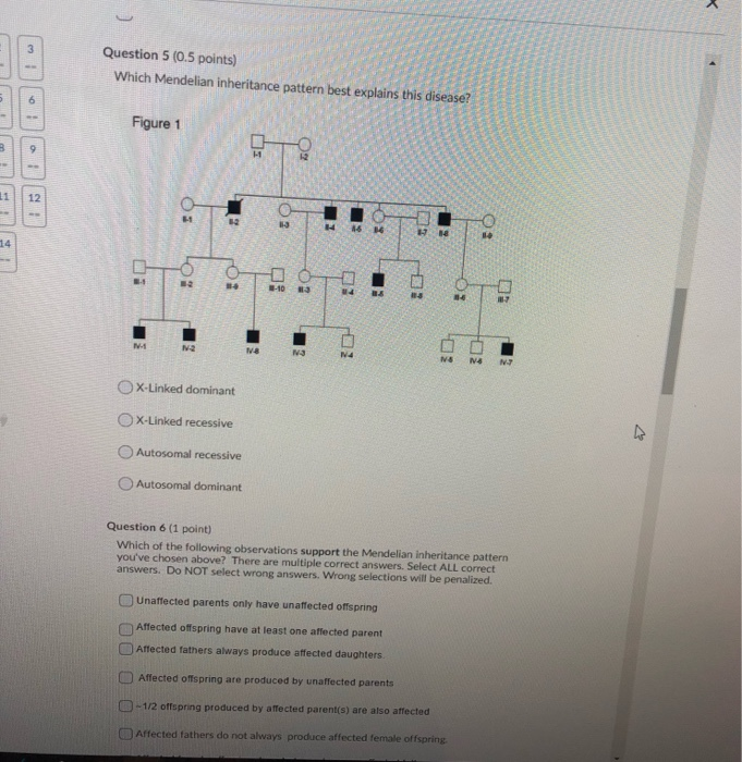 Solved Question 5 (0.5 Points) Which Mendelian Inheritance | Chegg.com