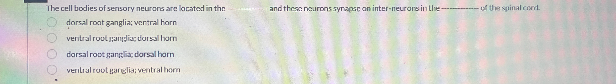 Solved The cell bodies of sensory neurons are located in the | Chegg.com