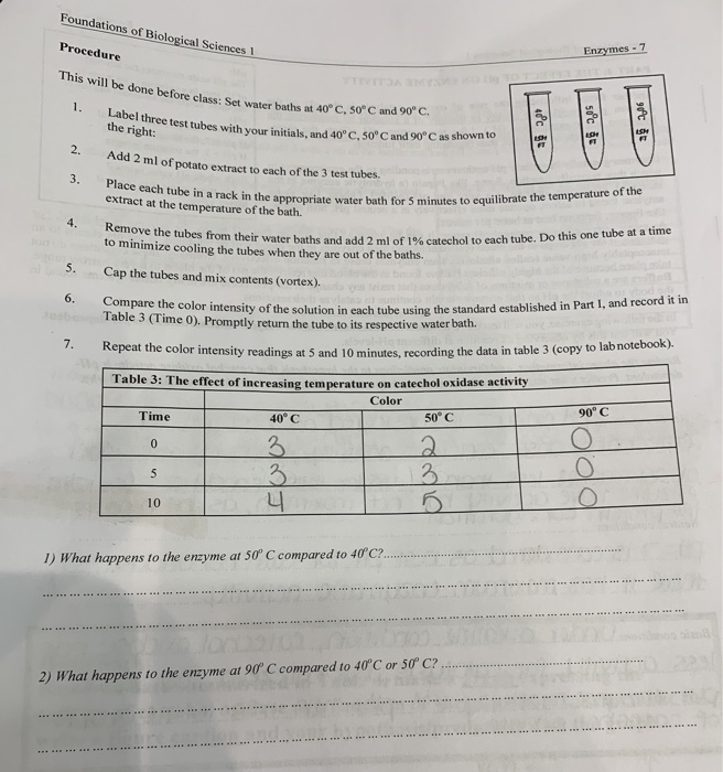 Solved PART 3 THE EFFECT OF TEMPERATURE ON ENZYME ACTIVITY