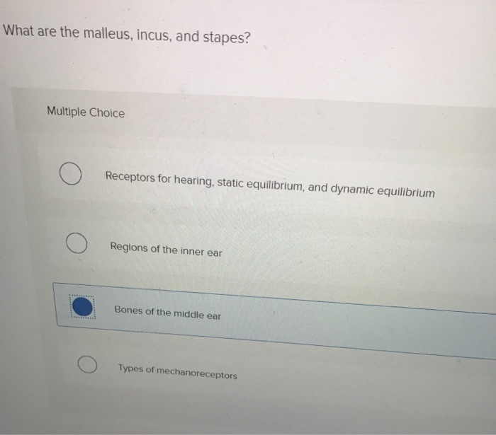 solved-what-are-the-malleus-incus-and-stapes-multiple-chegg