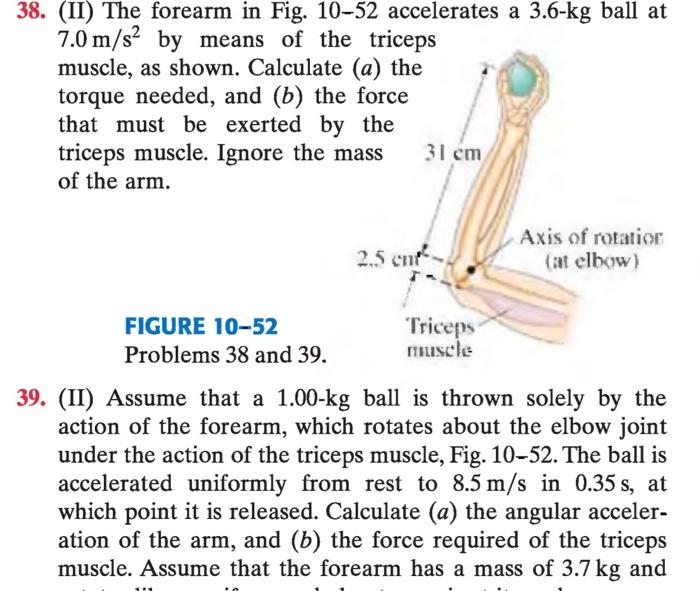 Solved 38. (II) The forearm in Fig. 10−52 accelerates a