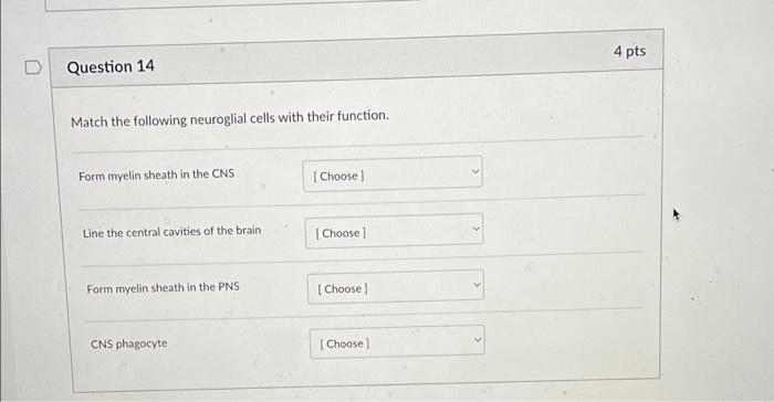 Match the following neuroglial cells with their function.
Form myelin sheath in the CNS
Line the central cavities of the brai