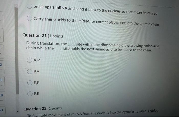 Solved Short Answers Question 1 (2 points) Using the codon | Chegg.com