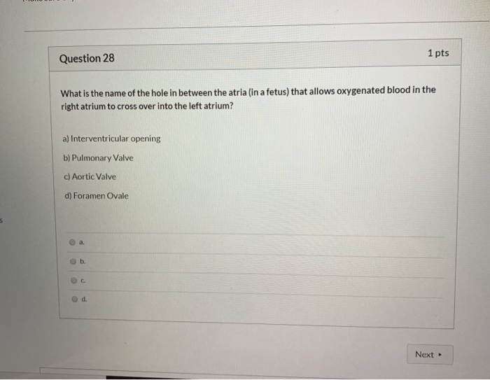 Solved Question 28 1 pts What is the name of the hole in | Chegg.com