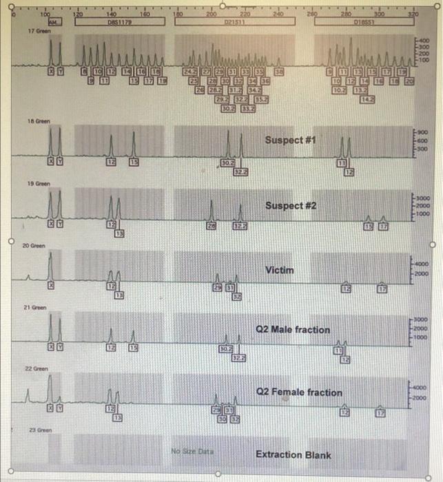 Shown are the STR typing results for the 6 STR loci | Chegg.com