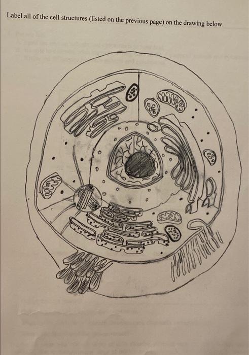 Solved Label all of the cell structures (listed on the | Chegg.com