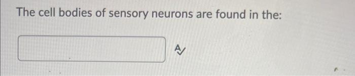 Solved The cell bodies of sensory neurons are found in the: | Chegg.com