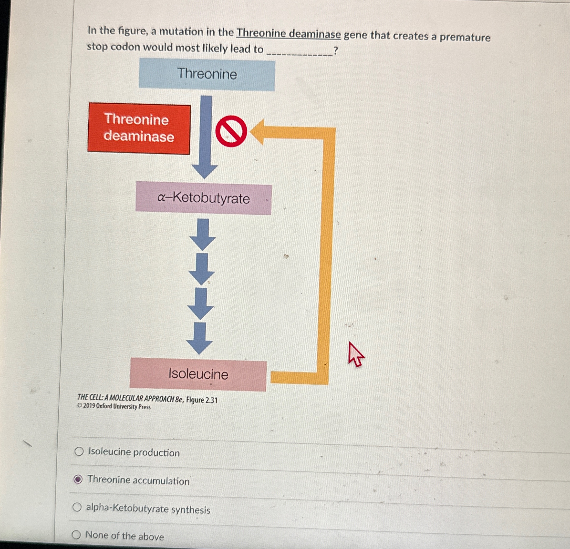 Solved In the figure, a mutation in the Threonine deaminase | Chegg.com