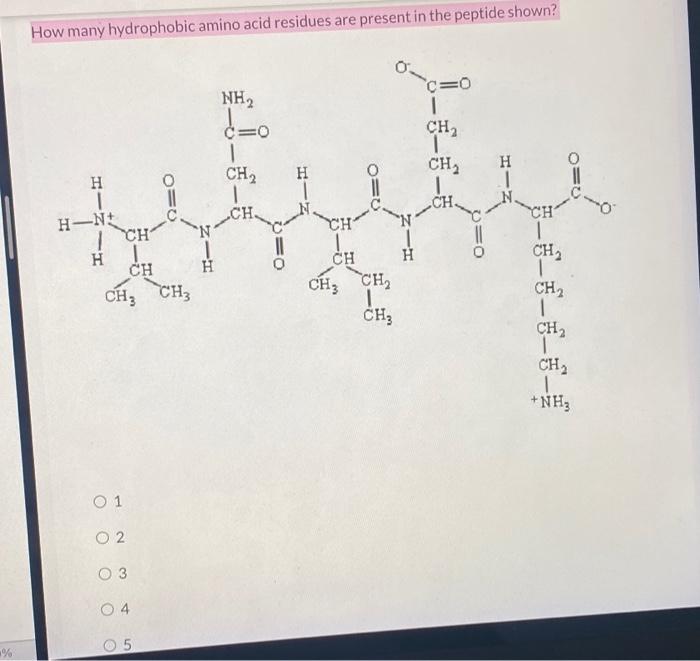 Solved How many hydrophobic amino acid residues are present