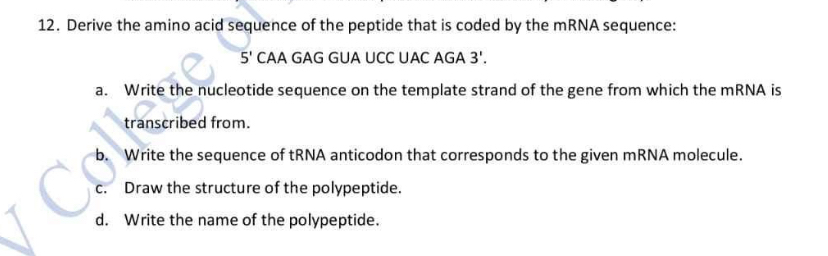 Solved Derive the amino acid sequence of the peptide that is | Chegg.com