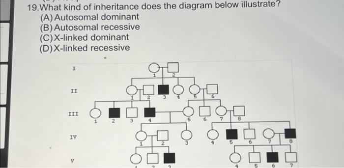 Solved 19.What kind of inheritance does the diagram below | Chegg.com