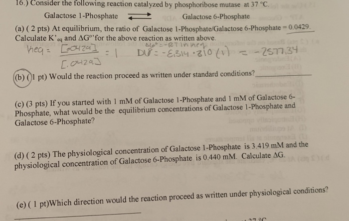 Solved 16.) Consider the following reaction catalyzed by | Chegg.com