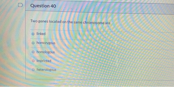 Solved O Question 40 Two genes located on the same | Chegg.com