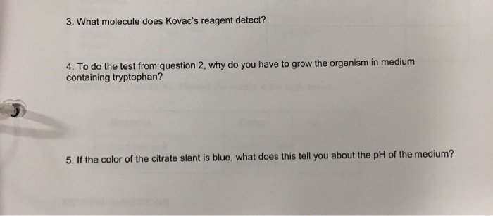 Solved 3. What molecule does Kovac's reagent detect? 4. To | Chegg.com