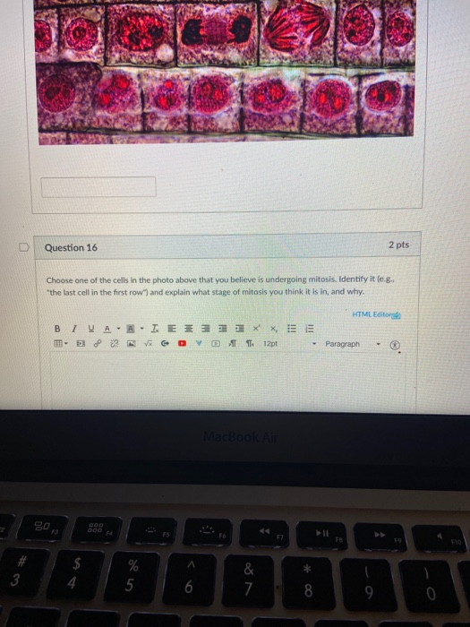 Solved Question 1 3 pts The figure below is from a journal | Chegg.com