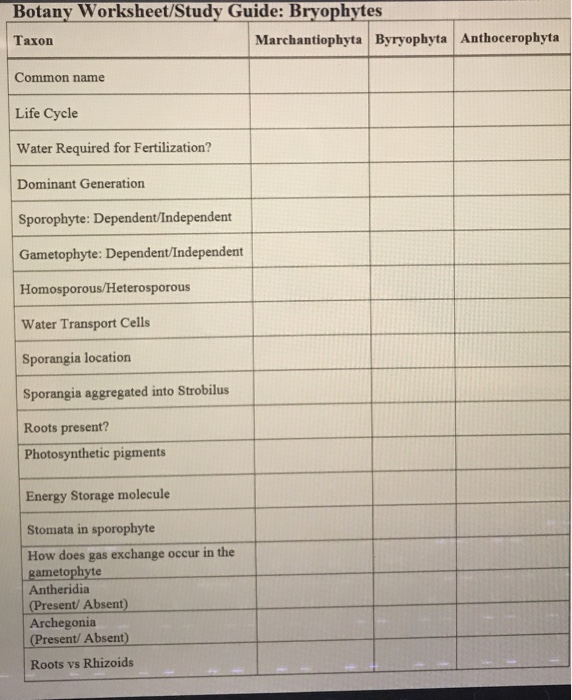 Botany Worksheet/Study Guide Protists Taxon Common