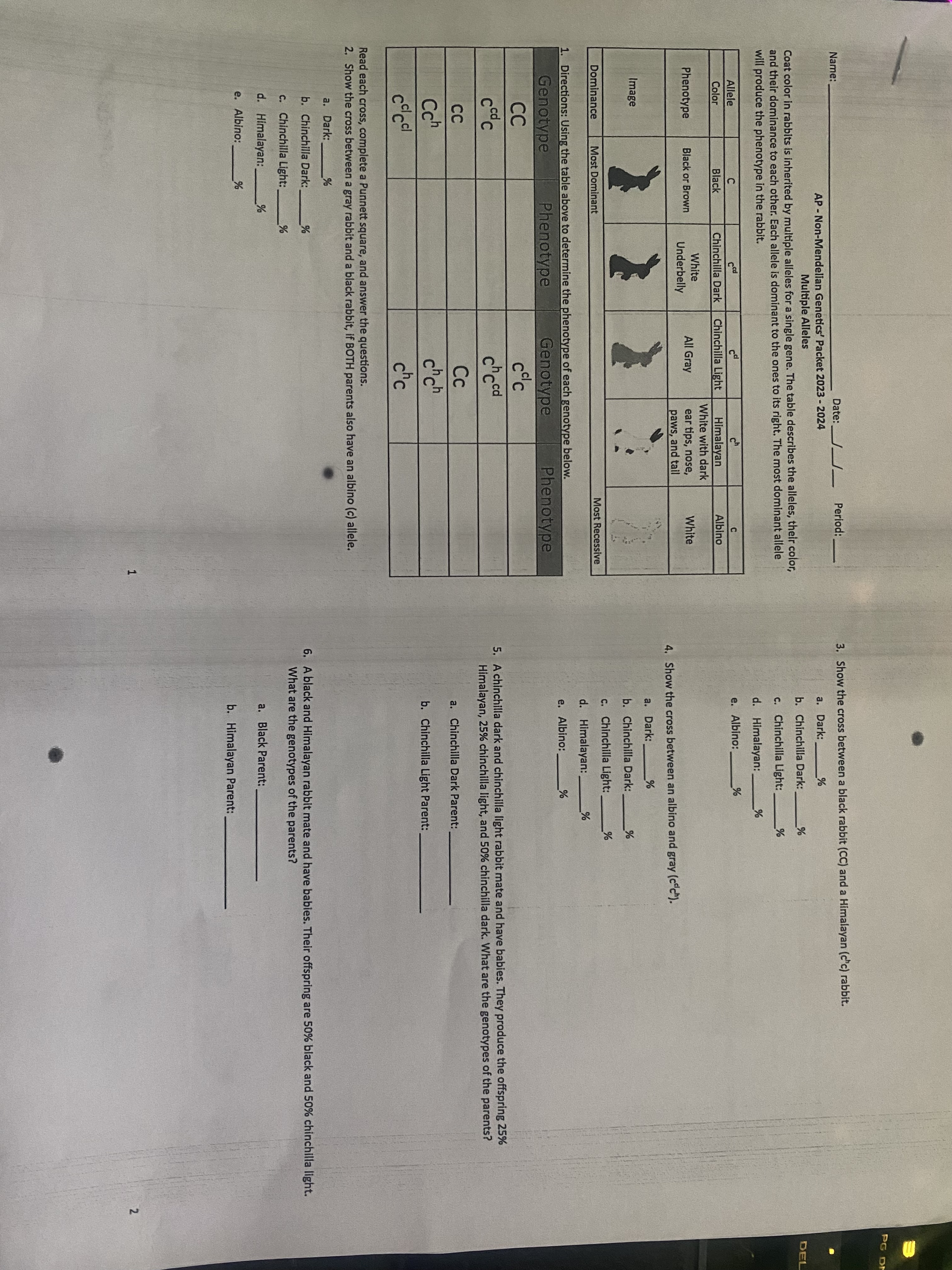 Solved Please fill out the table and answer the following | Chegg.com