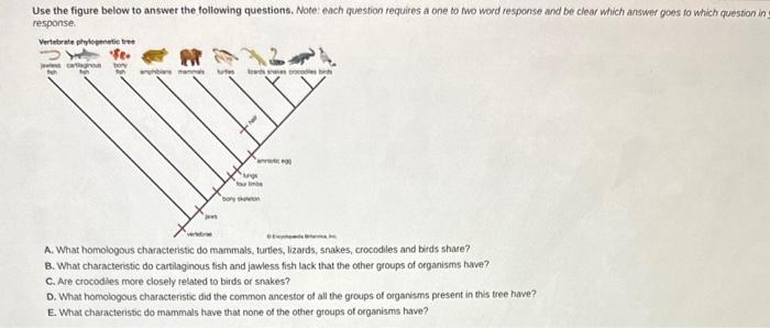 Solved Use the figure below to answer the following | Chegg.com