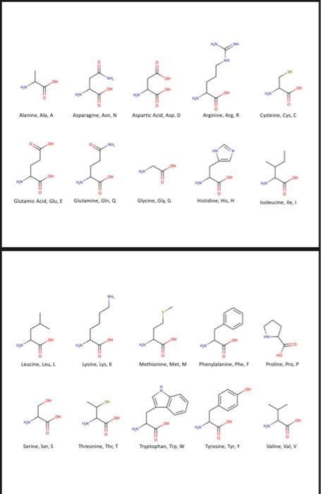 Solved Alanine, Al, A Asparagine, As, N Aspartic Acid, Asp. | Chegg.com