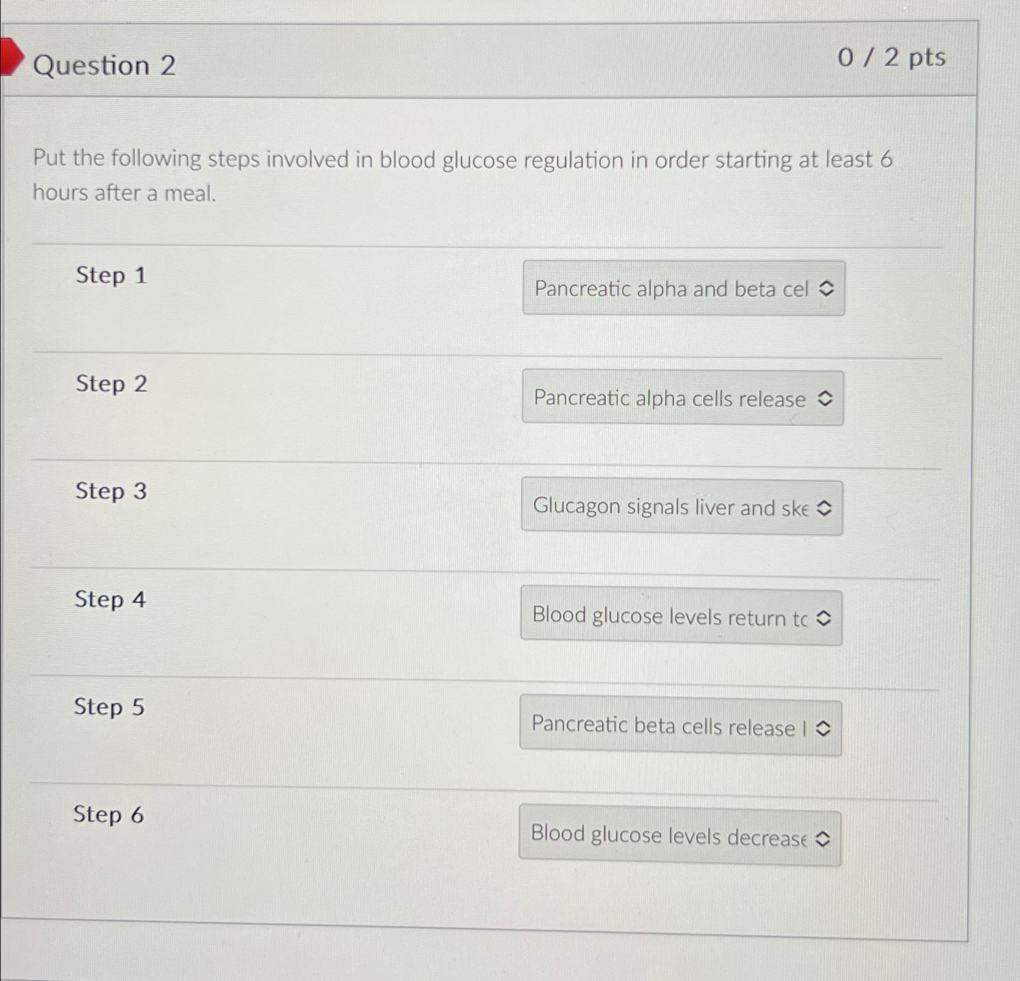 Solved Question 202 ﻿ptsPut the following steps involved in | Chegg.com