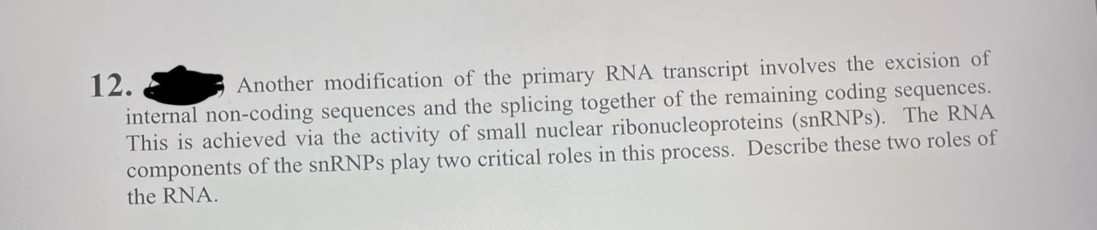 Solved Another modification of the primary RNA transcript | Chegg.com