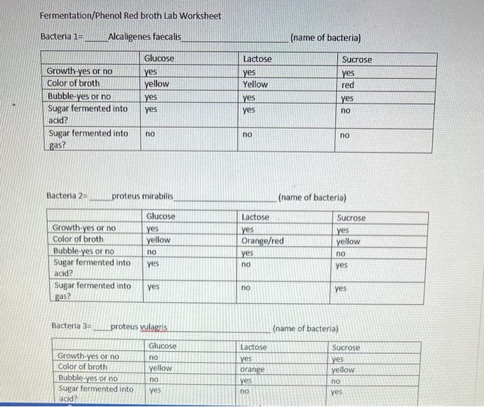 Fermentation/Phenol Red broth Lab Worksheet Bacteria