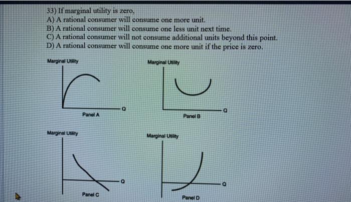 Solved 33) If marginal utility is zero. A) A rational | Chegg.com