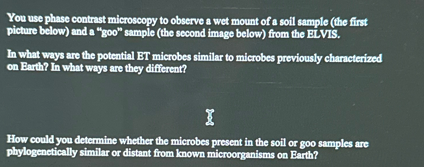 Solved You use phase contrast microscopy to observe a wet