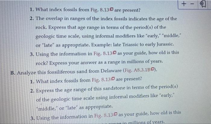 Solved You Will Use Index Fossils And Their Range Zones To | Chegg.com