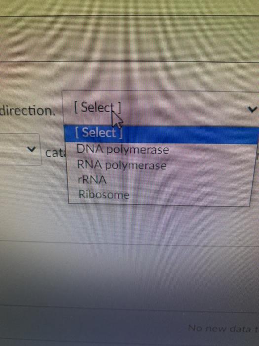 direction. [ Select] [ Select cat DNA polymerase RNA polymerase rRNA Ribosome No new datat