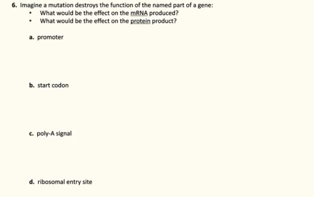 Solved 6. Imagine a mutation destroys the function of the | Chegg.com