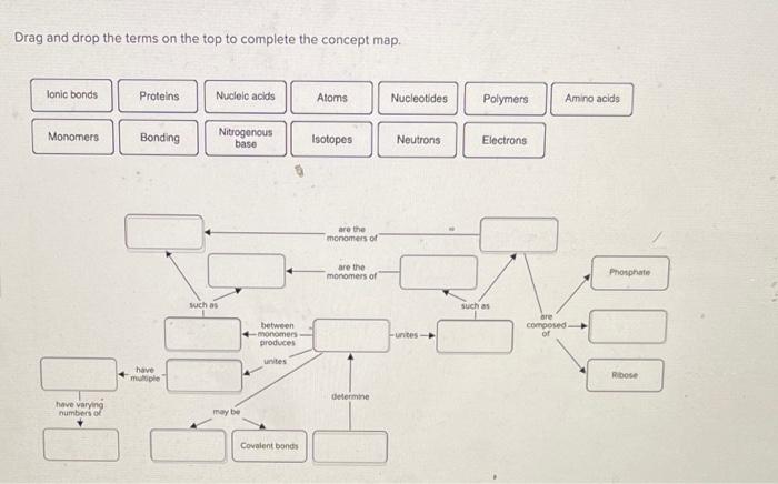 Solved Drag and drop the terms on the top to complete the | Chegg.com