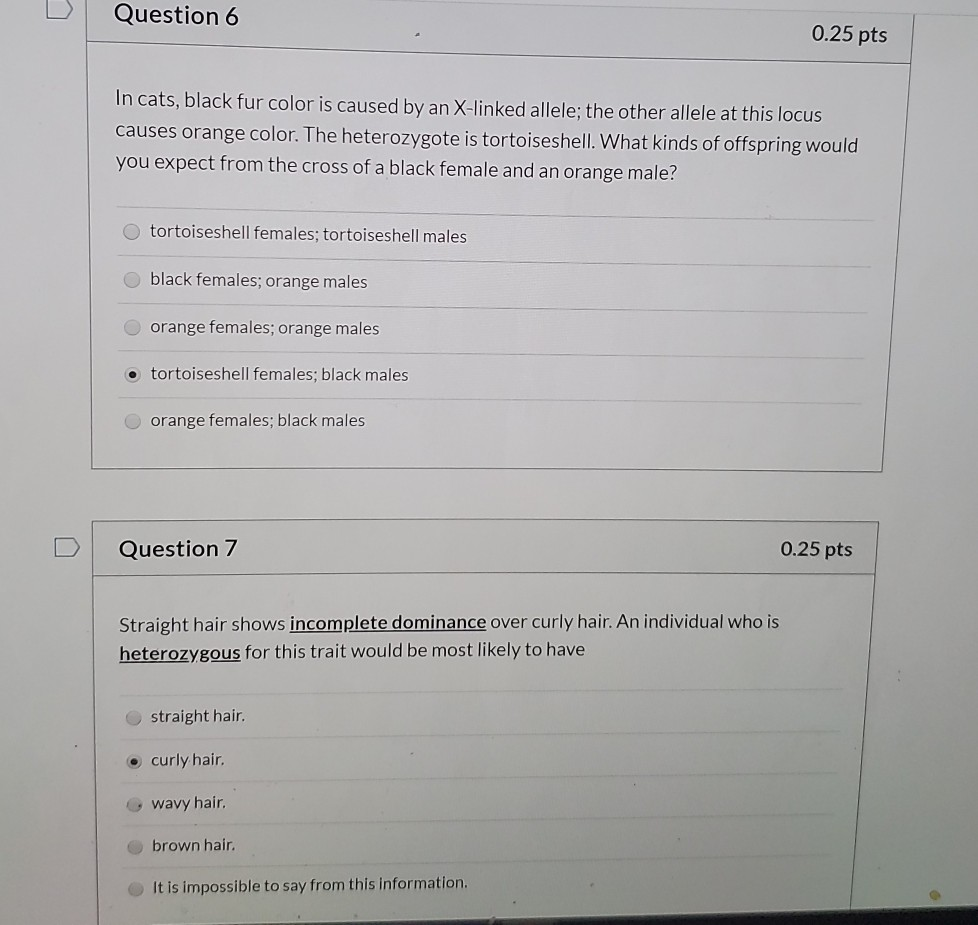 Solved Question 6 0.25 pts In cats, black fur color is