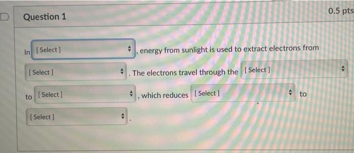 Solved 0.5 pts D Question 1 In (Select) energy from sunlight | Chegg.com