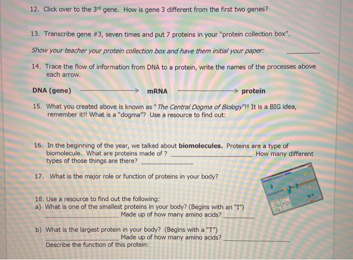 HAVE FUN EXPRESSING YOUR GENES!! Remember, a gene is